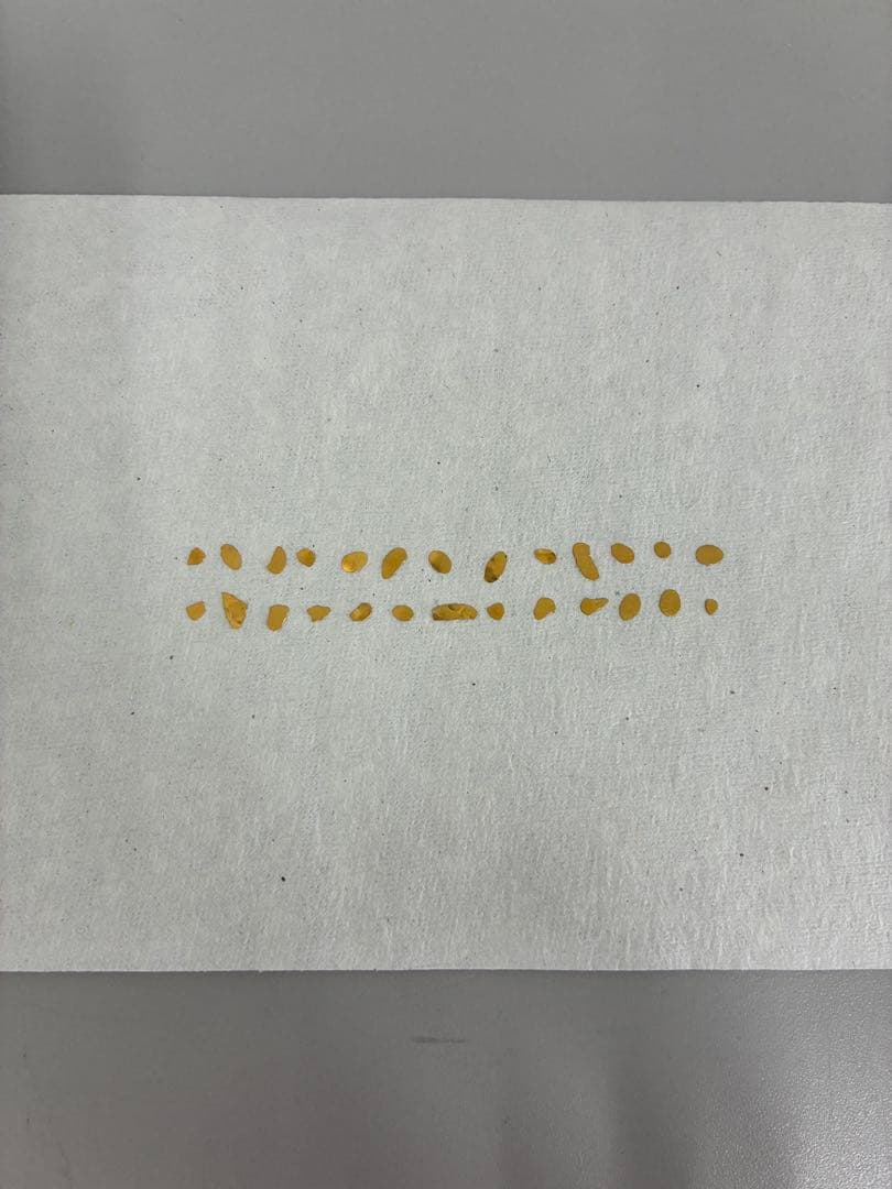 マイントピア別子 砂金取り体験 砂金26粒 銀76粒 人工ダイヤモンド5粒