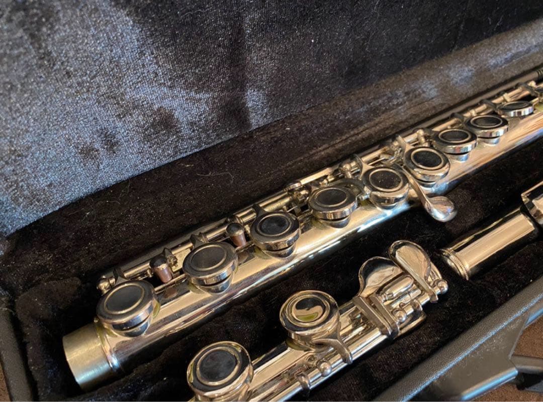 フルート(最大値下げ)