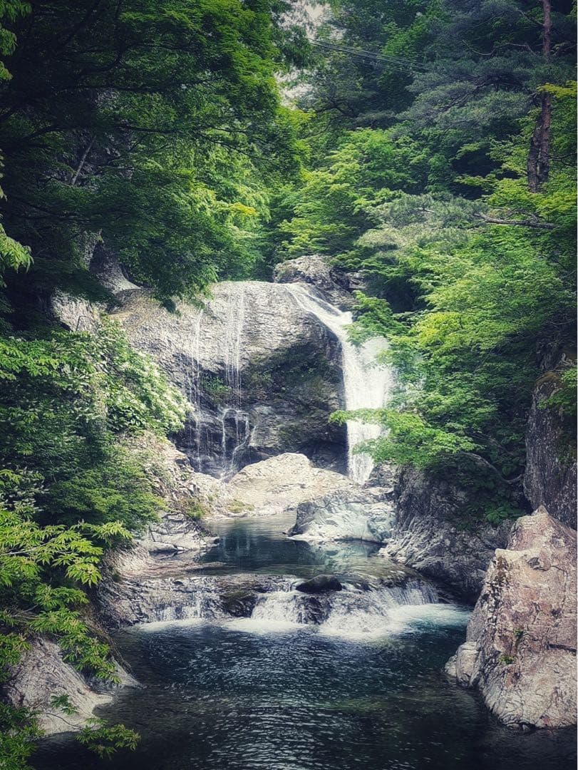 キャノン Lレンズ