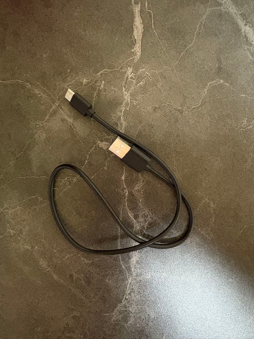 SONY WF-1000XM3 イヤホン