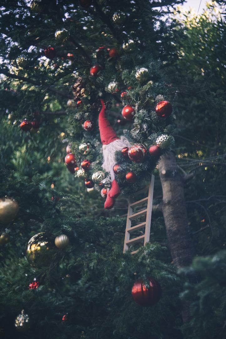 訳ありSALE！虹の出るライカの癖玉！Leica Summar 50mm F2