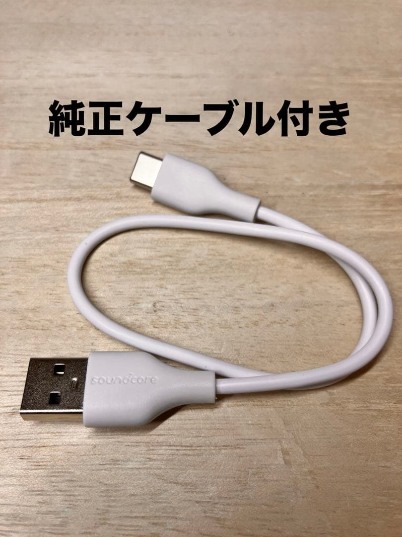 SoundCore Liberty 4Pro イヤホンケース 管理No.0301