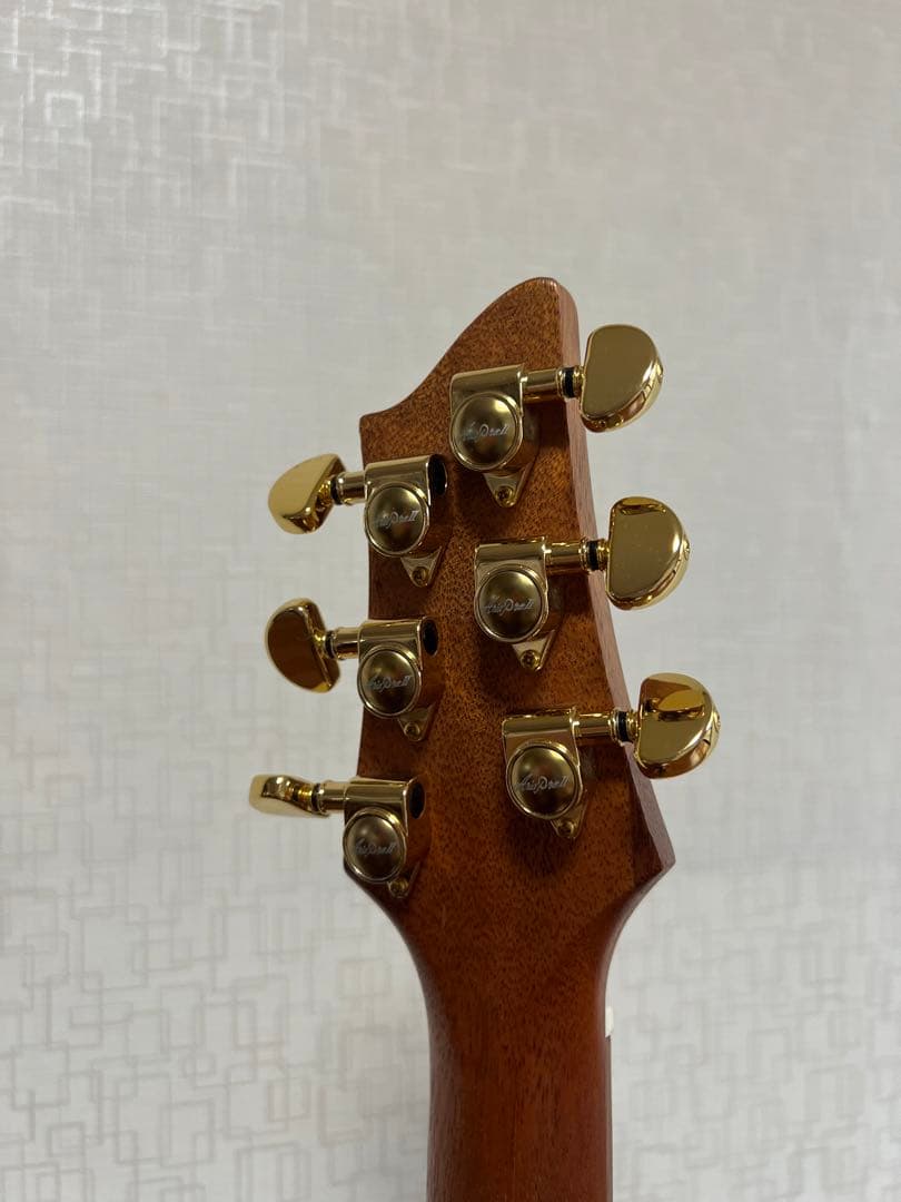 エレキギター Aria Pro 2 PE-MAHO ll