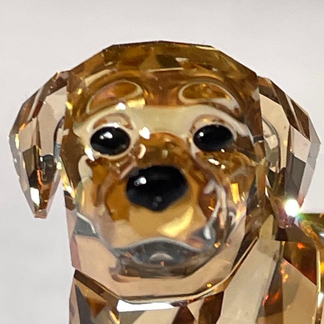 スワロフスキー　ゴールデンレトリバー