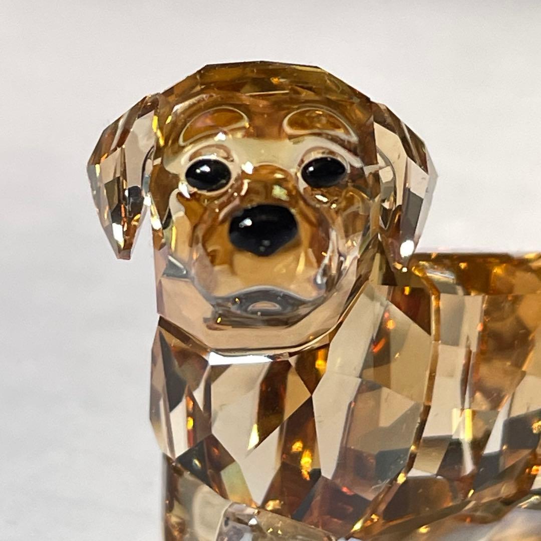 スワロフスキー　ゴールデンレトリバー