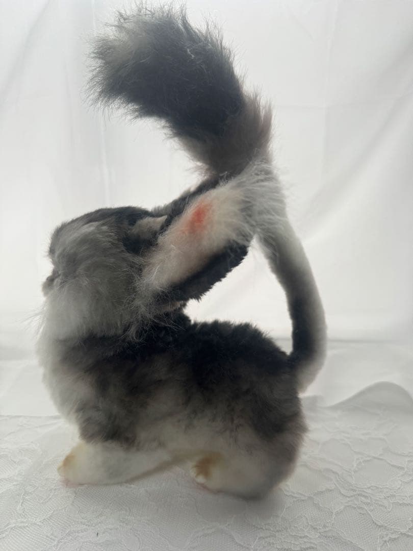 【最終値下げ】テリトルドール フェネコ 本体のみ