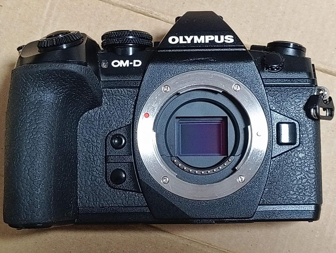 OLYMPUS OM-D E-M1 Mark II 本体