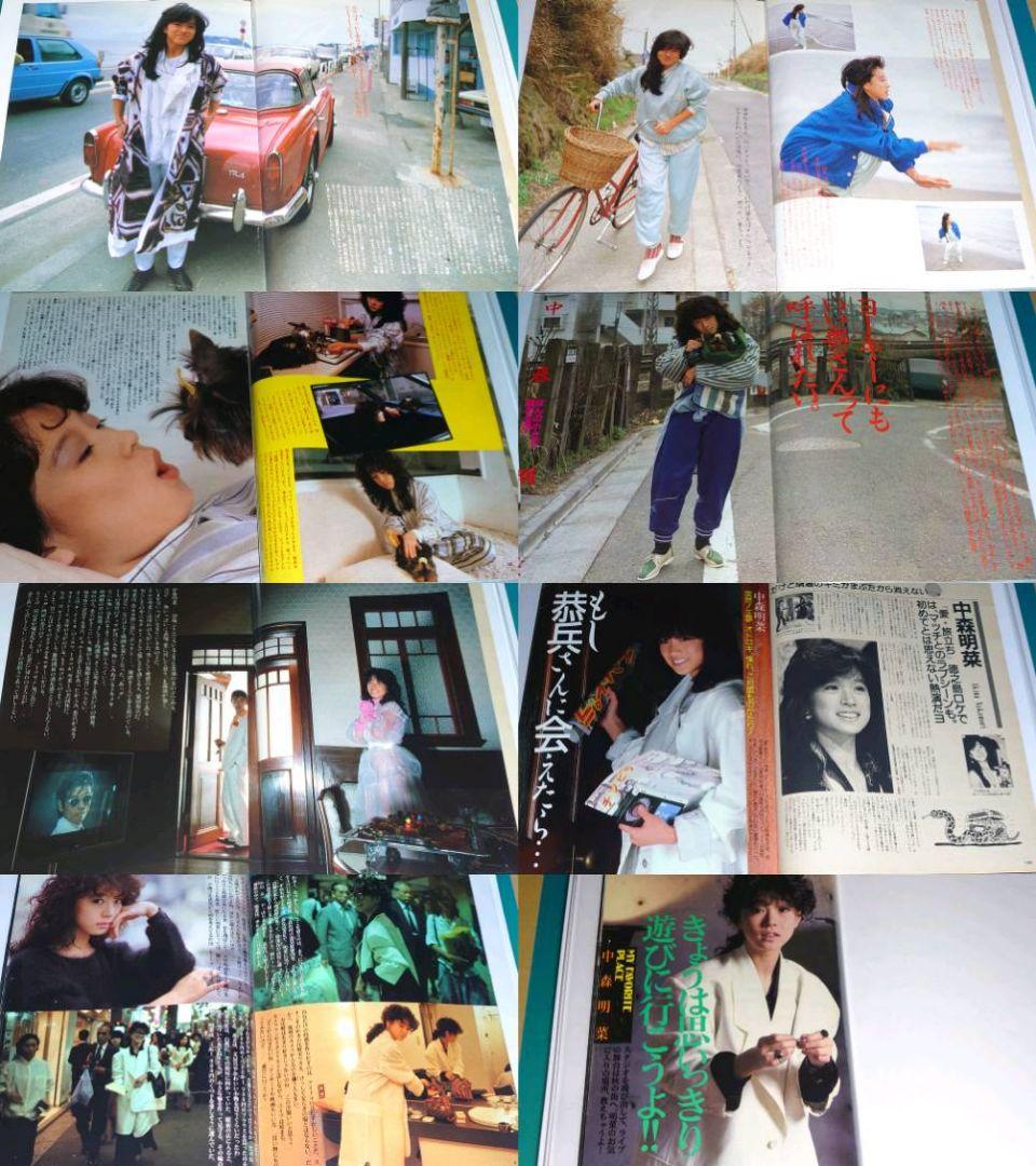 中森明菜　1982年〜1993年 大量　切り抜き　ファイル　2冊　120P