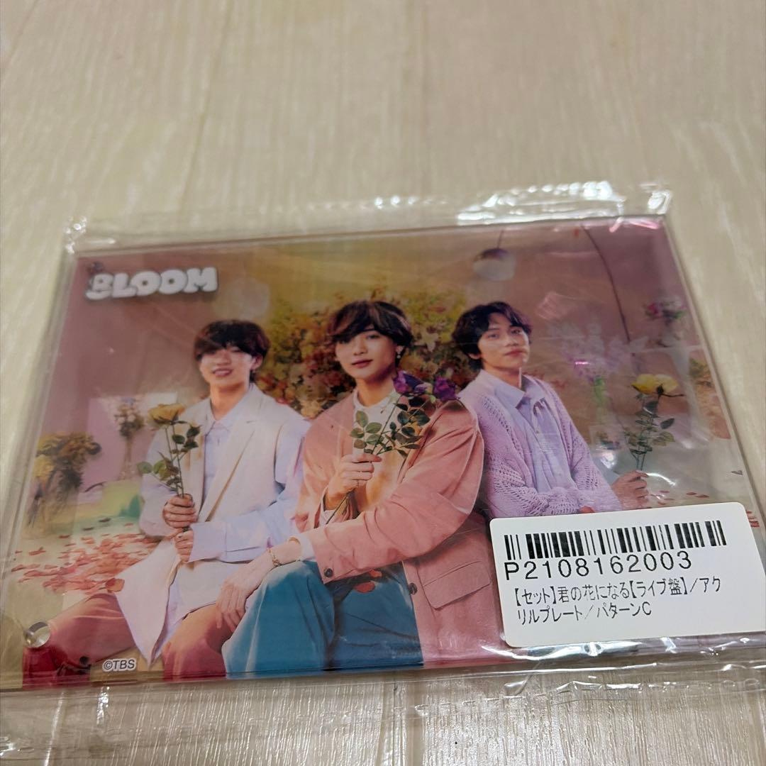 君の花になる 8LOOM ぬいぐるみとグッズセット