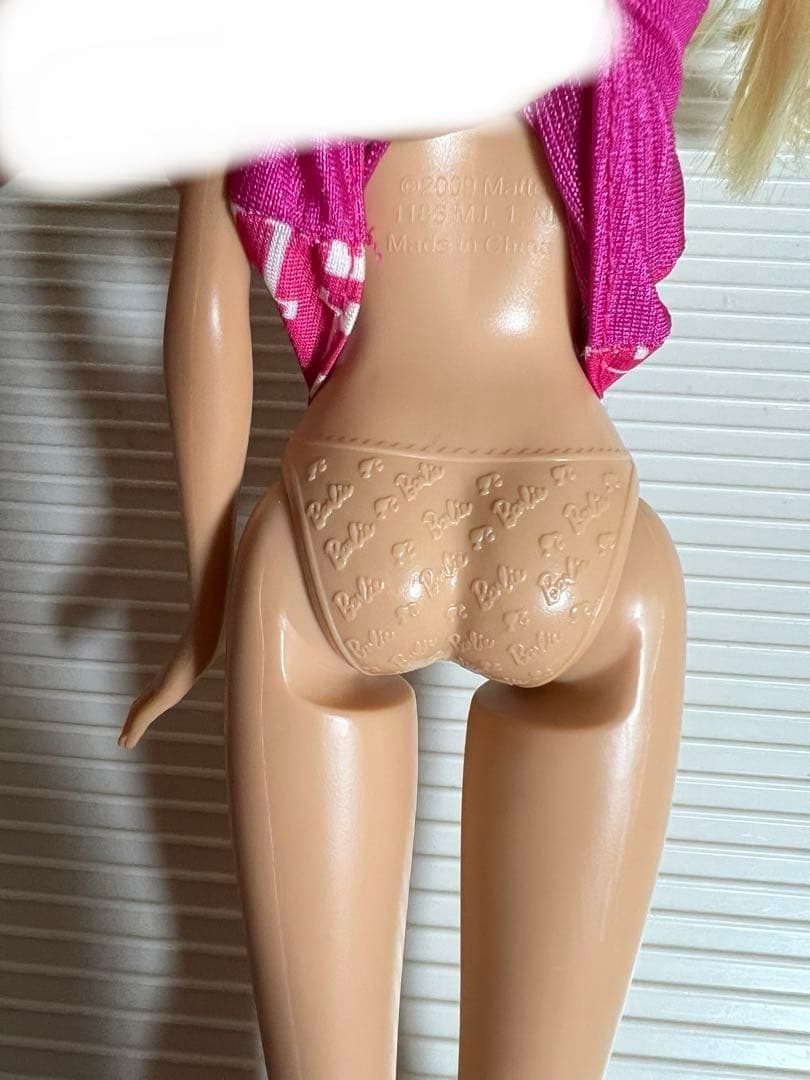 バービーのお人形、1999年20009年あり