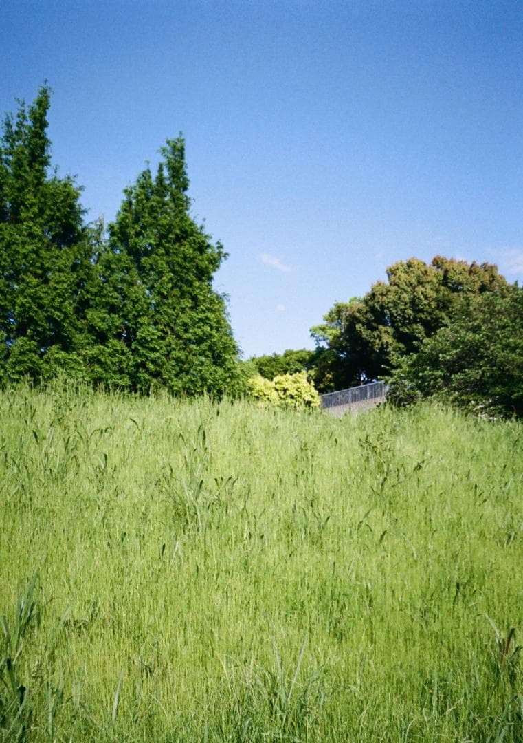 【動作品・実写確認済】RICOH AUTO HALF SE2