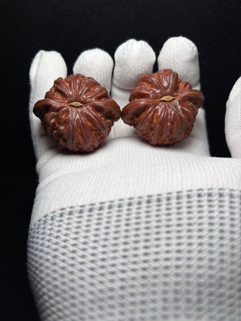 【幻夢文玩商店３年育成‼︎期間限定価格‼︎】悶尖球白獅子40mm