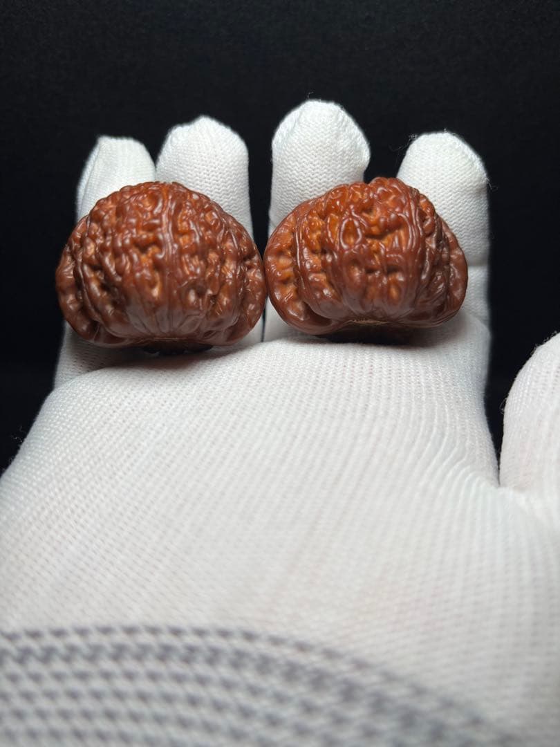 【幻夢文玩商店３年育成‼︎期間限定価格‼︎】悶尖球白獅子40mm