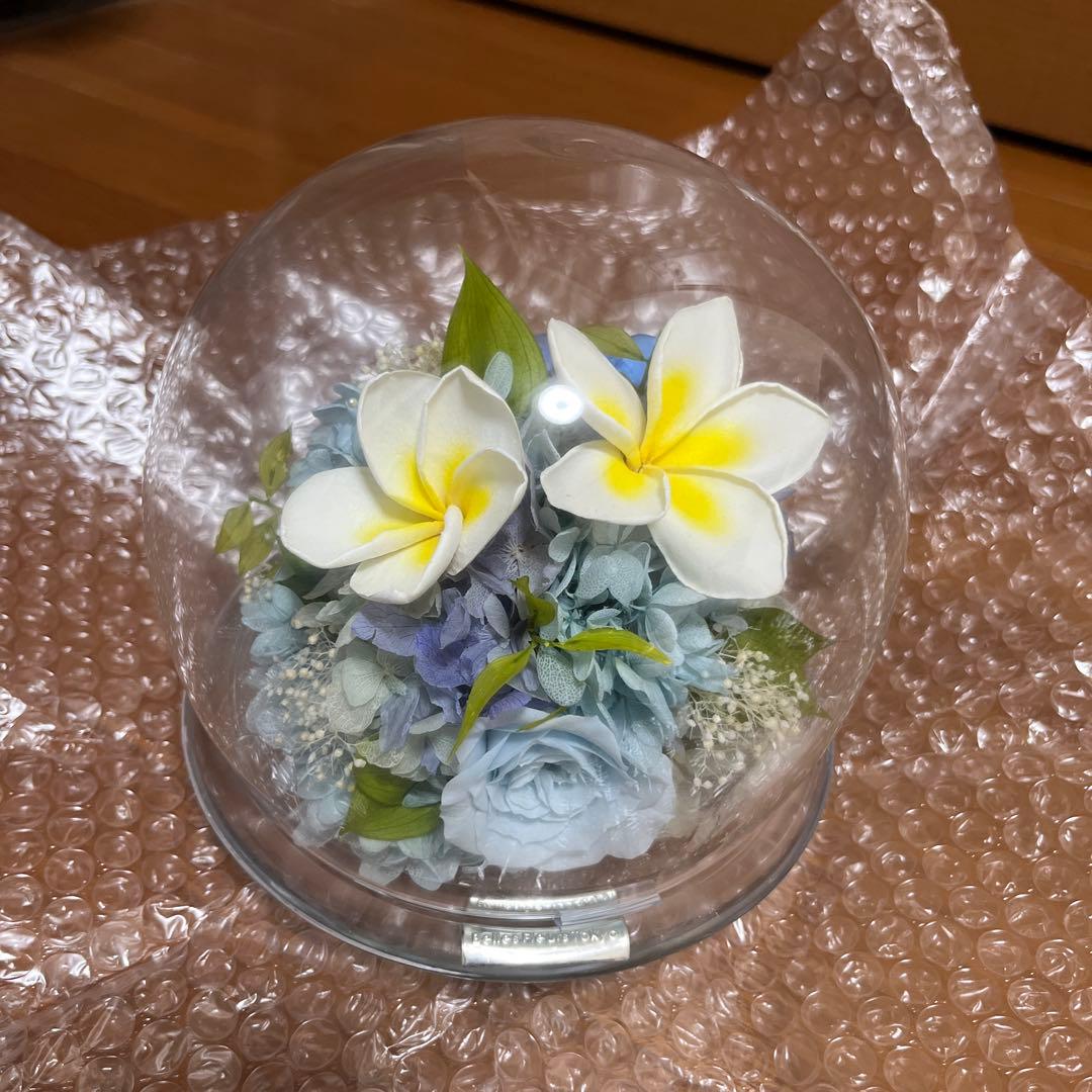 Belles Fleurs ガラスドームL プリザーブドフラワーアレンジ ブルー