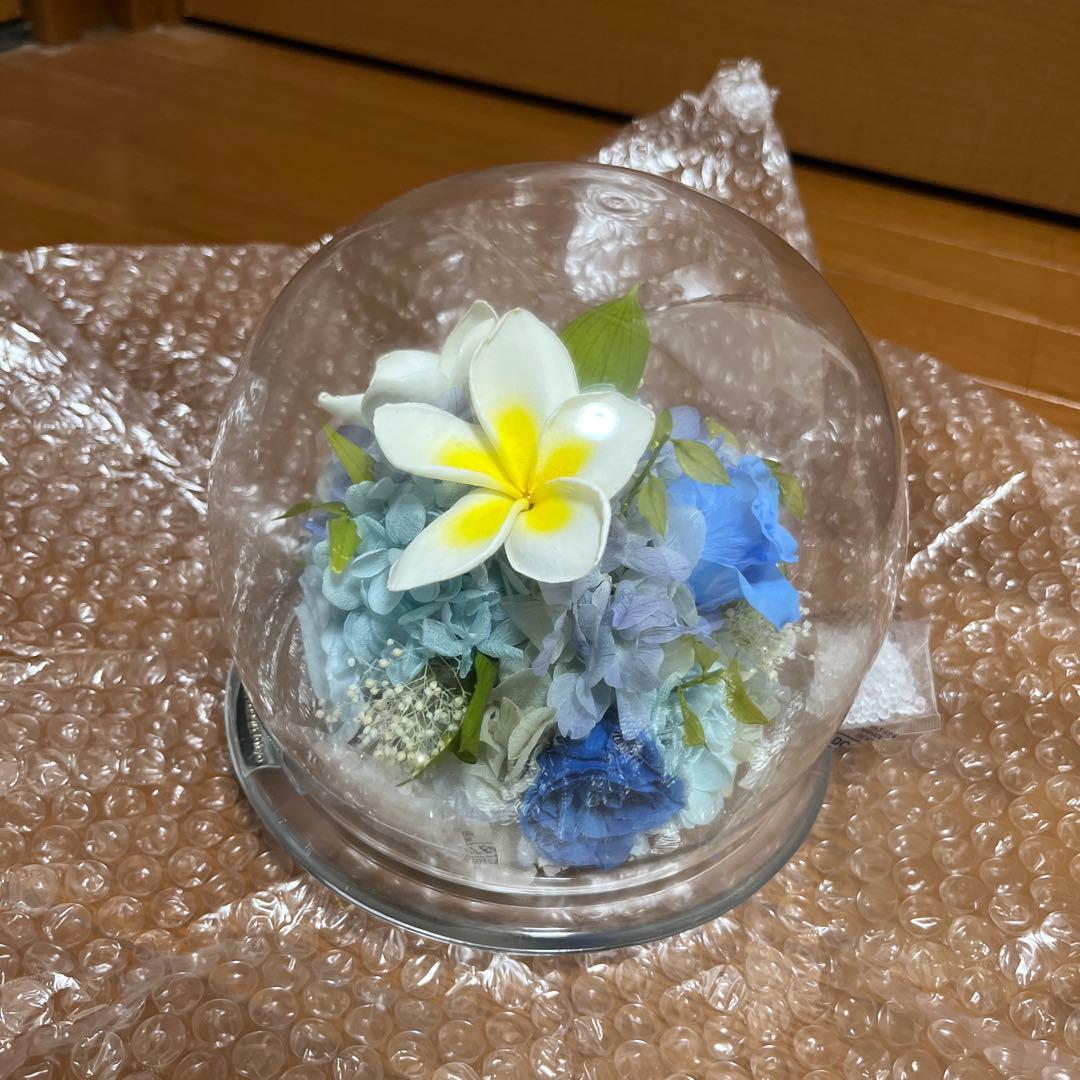 Belles Fleurs ガラスドームL プリザーブドフラワーアレンジ ブルー