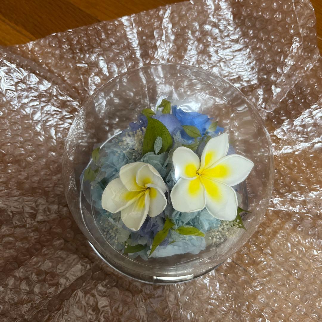 Belles Fleurs ガラスドームL プリザーブドフラワーアレンジ ブルー