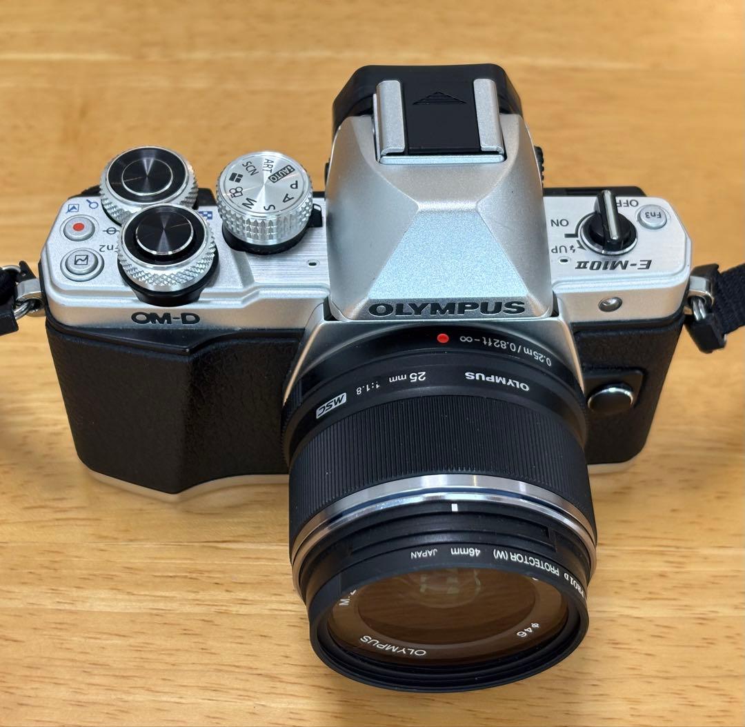 E-M10 MarkII 25mm F1.8単焦点と望遠ズームレンズ付