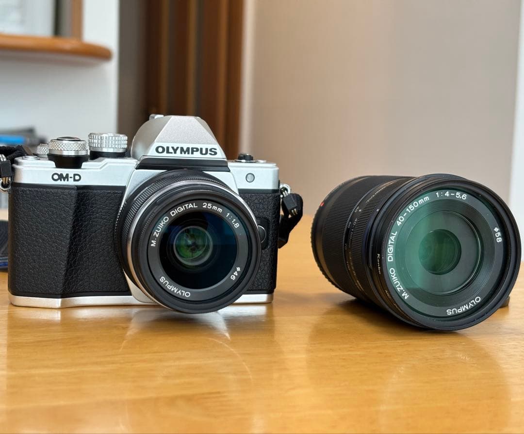 E-M10 MarkII 25mm F1.8単焦点と望遠ズームレンズ付