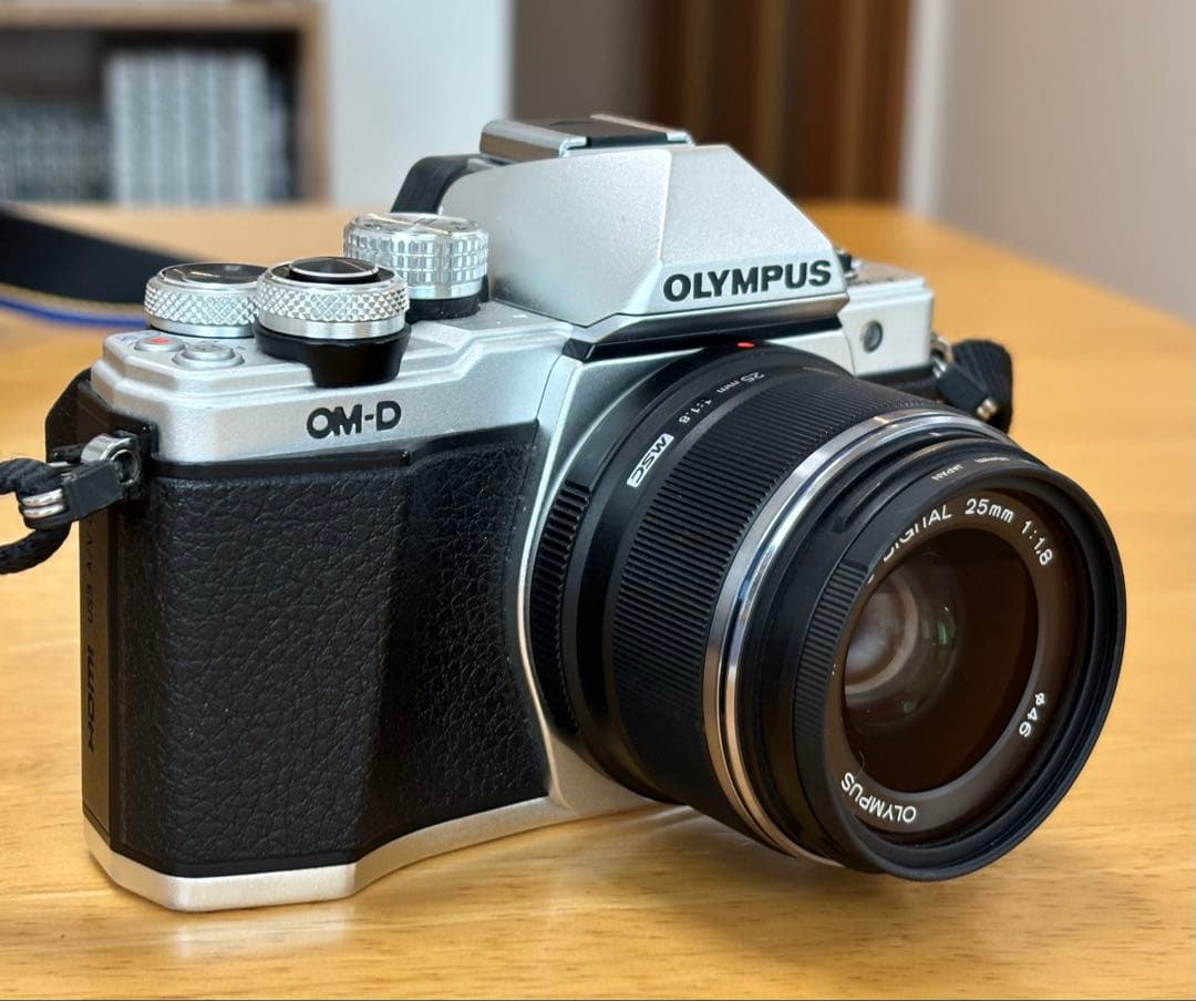 E-M10 MarkII 25mm F1.8単焦点と望遠ズームレンズ付
