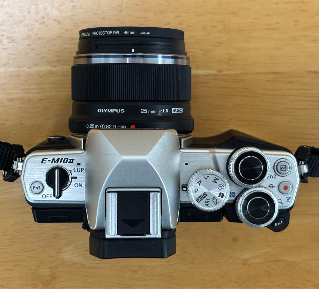 E-M10 MarkII 25mm F1.8単焦点と望遠ズームレンズ付