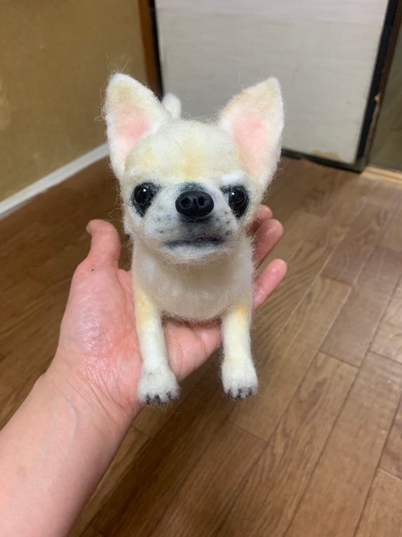 たいき