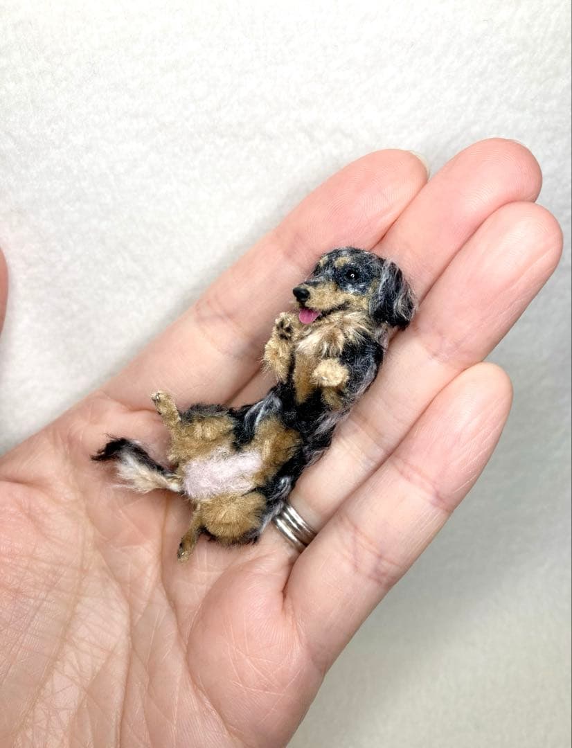 モールアート☆ミニダックスダップル☆へそてん