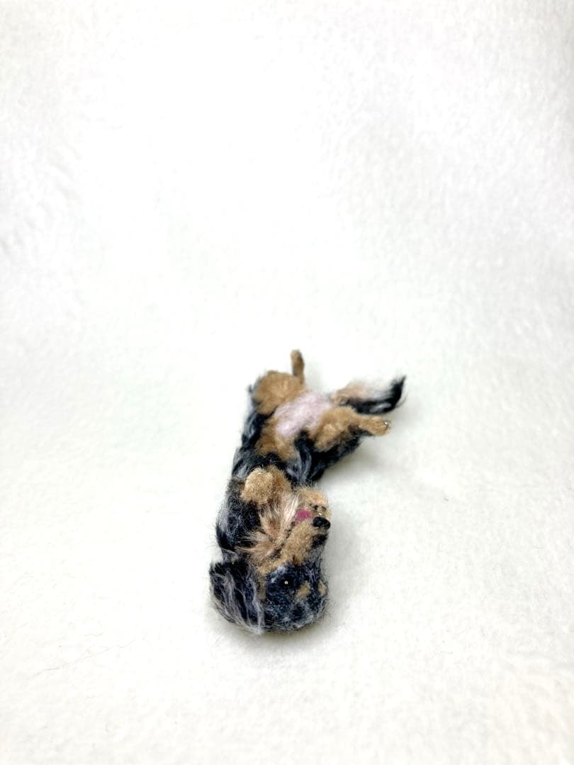 モールアート☆ミニダックスダップル☆へそてん