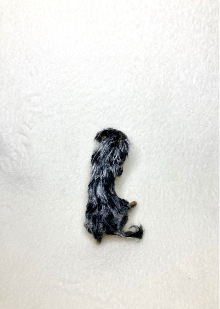 モールアート☆ミニダックスダップル☆へそてん