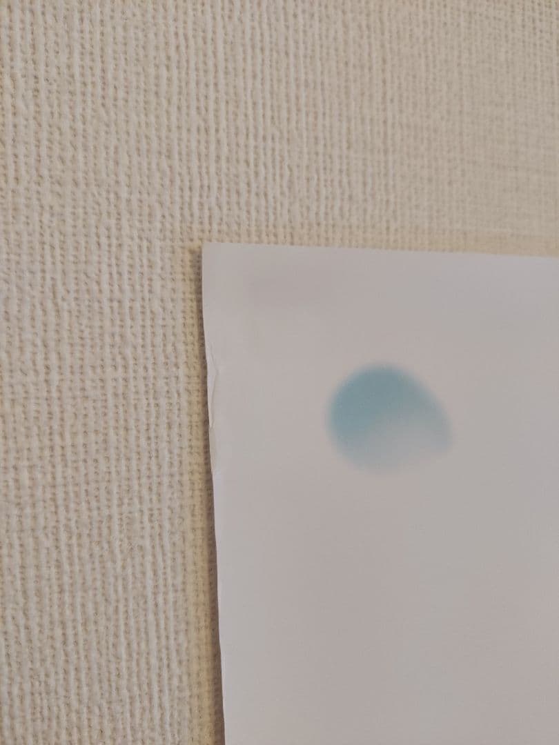 妻夫木聡&安藤政信 ★非売品ポスター