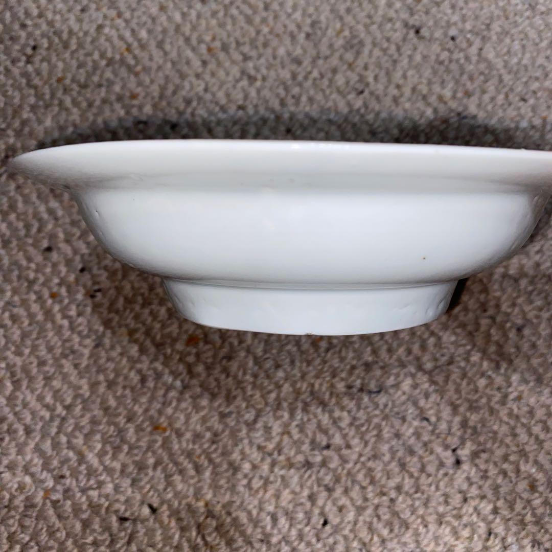 藍九谷　染付　蝶草花文　皿　江戸初期