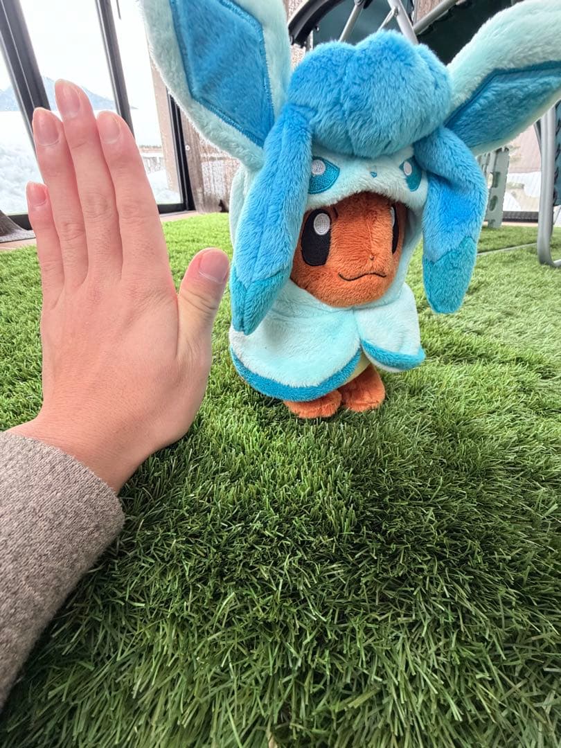 【全てタグ付】 ポケセン限定レア3体セット （イーブイ・カプコケコ・ミニリュウ）