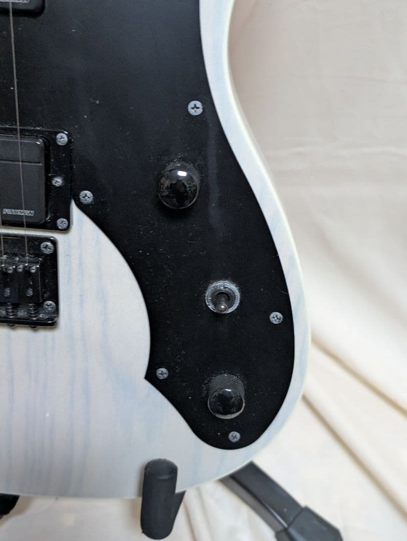 フジゲン FGN FUJIGEN JIL2-ASH-DE-M エレキギター