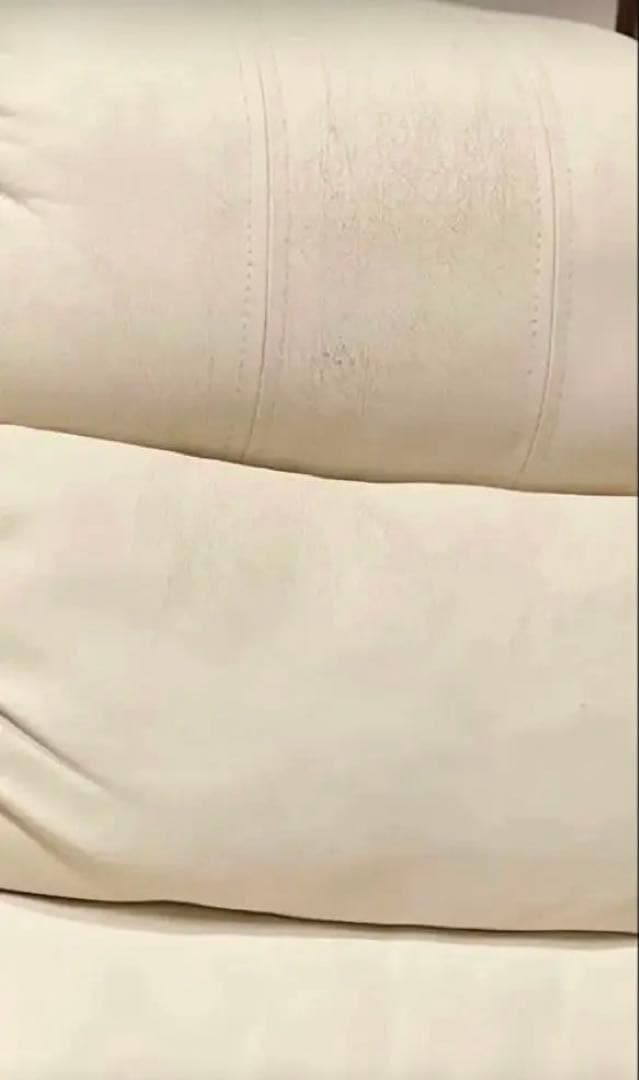 てんちゃんSHOP様　3月19日限り