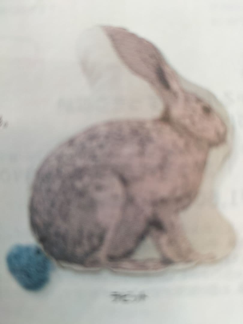 フェリシモ★しっぽに癒やされるアニマルクッション★うさぎ