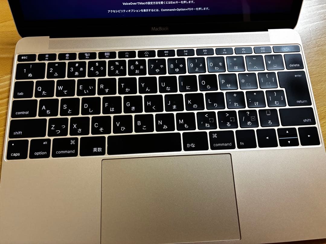 Apple MacBook A1534 充電器付き