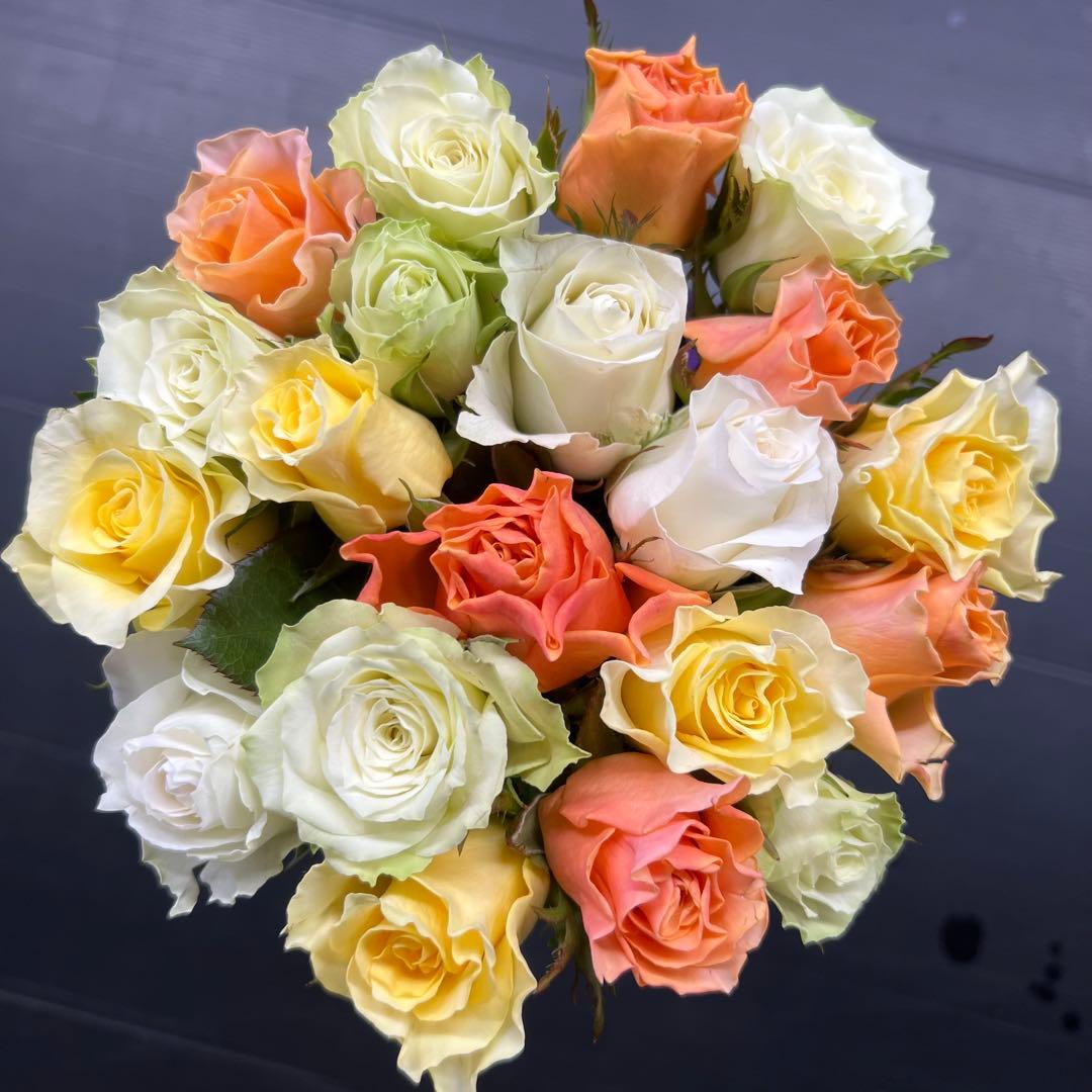 くきどん　40本　ラッピング　アレンジMIX 大箱