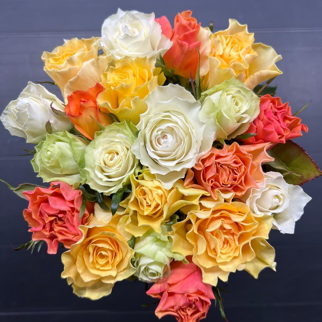 くきどん　40本　ラッピング　アレンジMIX 大箱