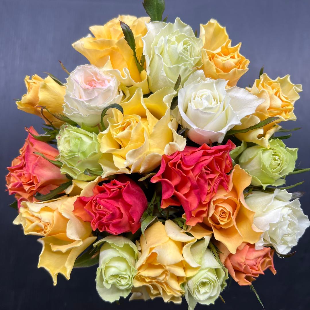 くきどん　40本　ラッピング　アレンジMIX 大箱