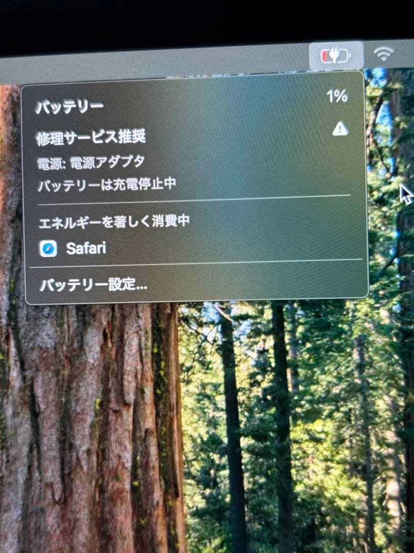 MacBook pro 2019 13インチ ジャンク