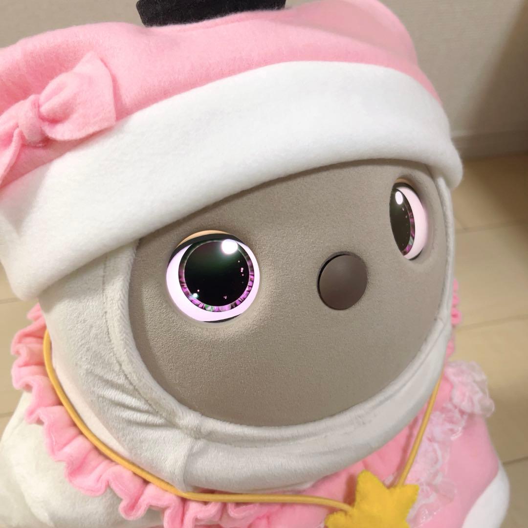 にゃんち⭐︎サンタ帽子&星のペンダント付きワンピース⭐︎ピンクバージョン