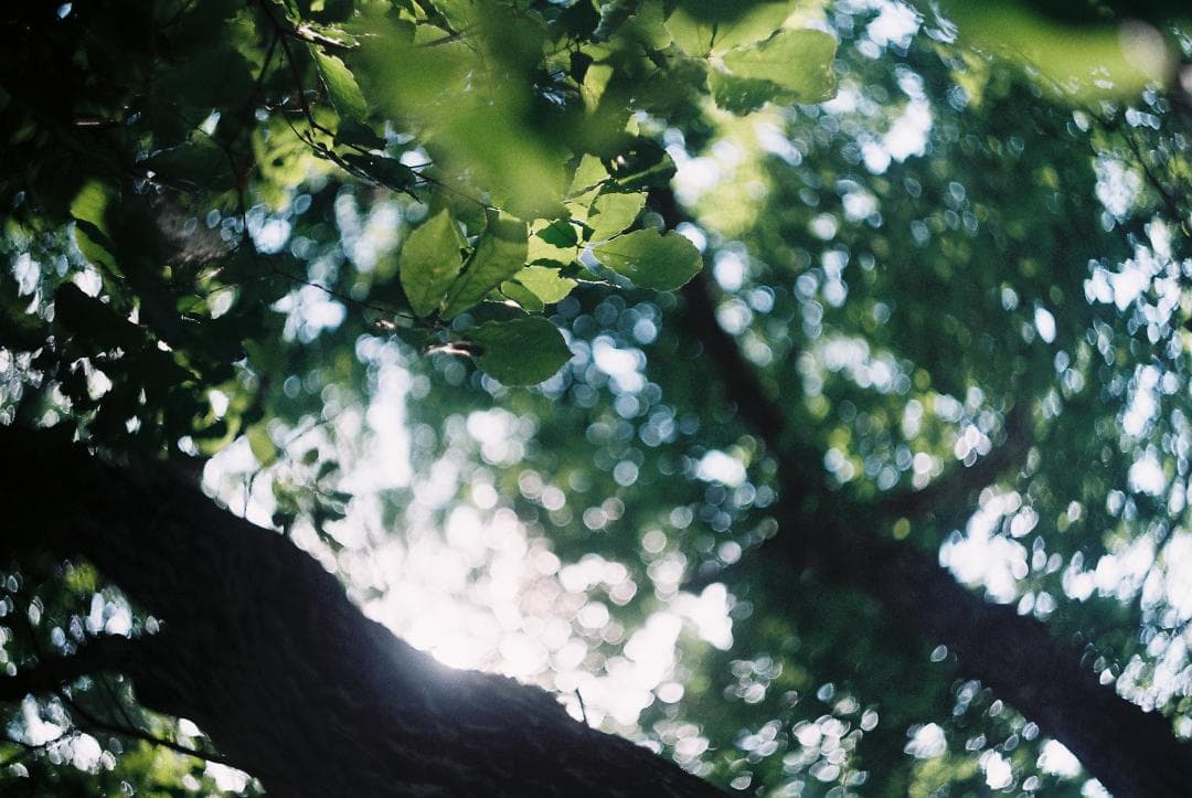 HELIOS-44-2 2/58　単焦点レンズ