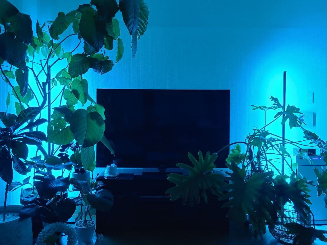 ILLUMINAR　Funky Lama　フロアライト2本セット　間接照明