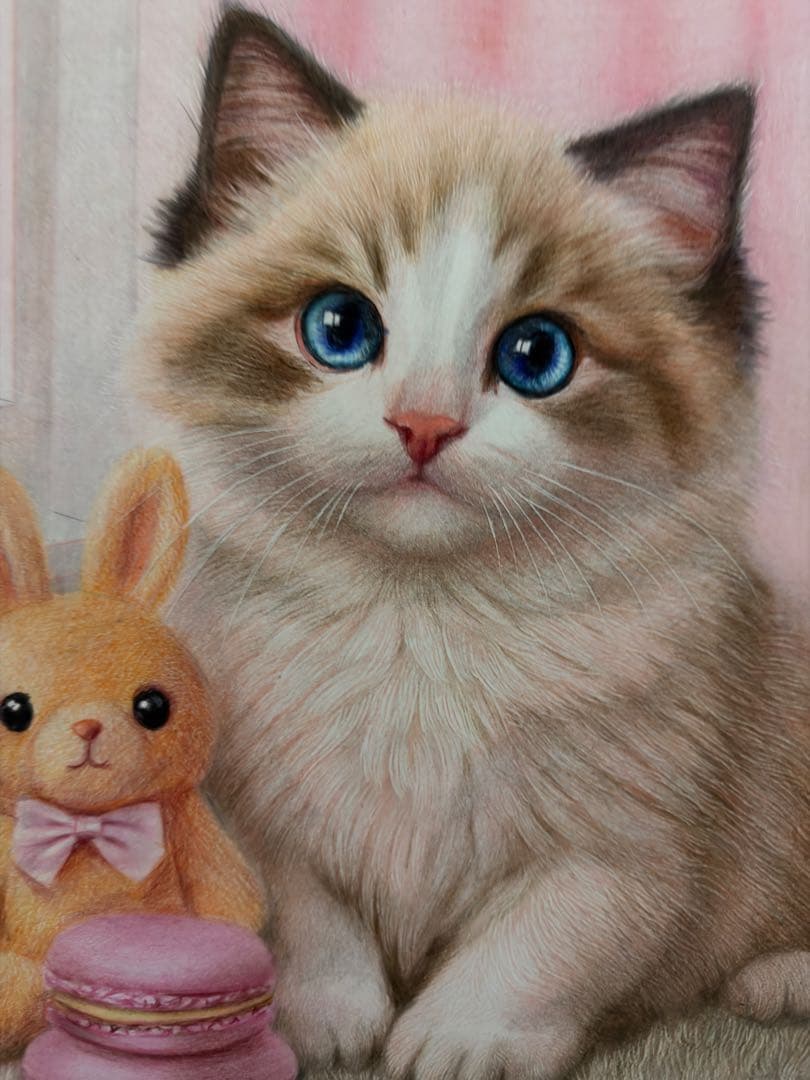 色鉛筆画A4 青い瞳のラグドールとマカロン