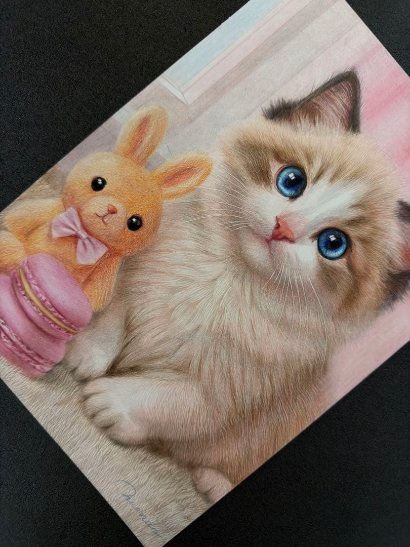 色鉛筆画A4 青い瞳のラグドールとマカロン