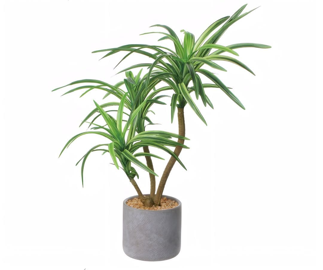 光触媒　人工観葉植物　ウォールグリーン　フェイクグリーン　ユッカセメント@a