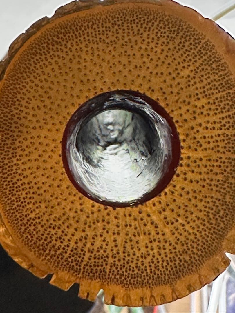 琴古流　古管尺八　在銘「雪州」　1尺8寸｜地無し管｜ケース付き