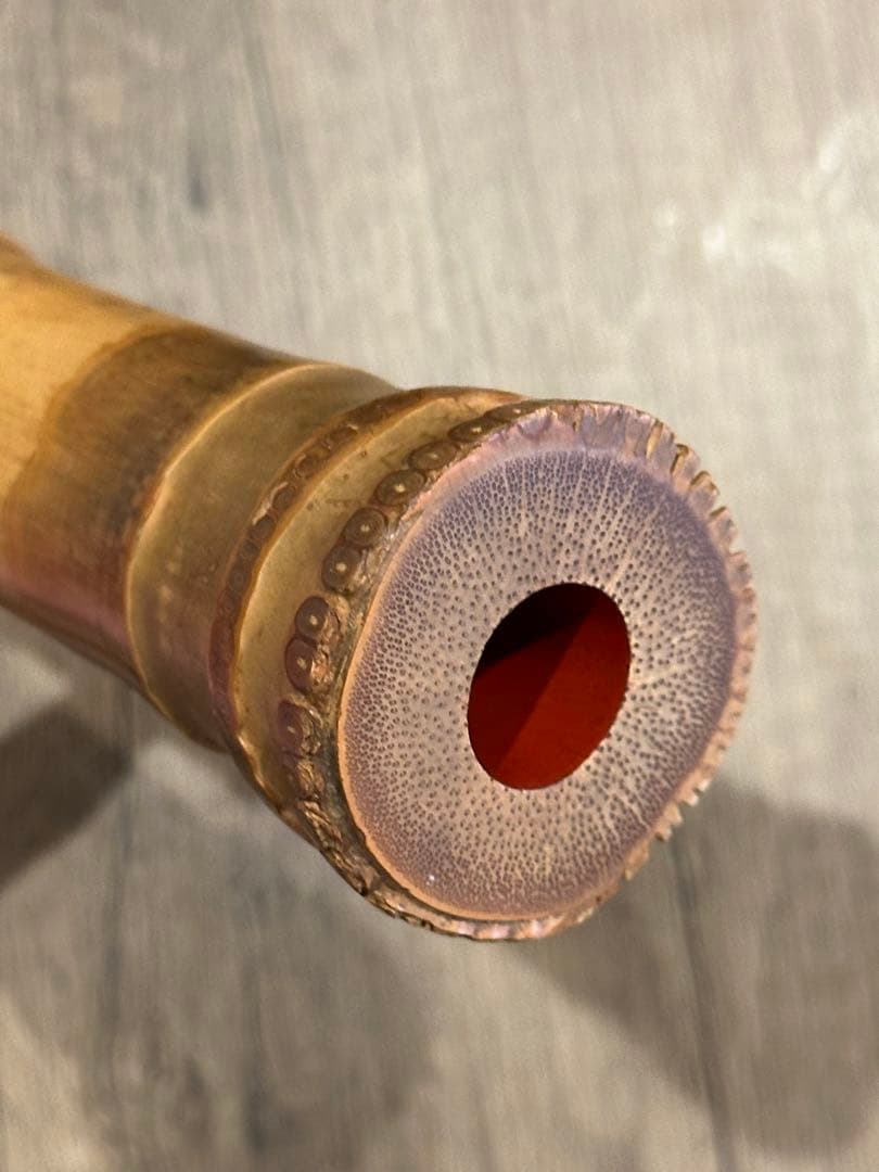 琴古流　古管尺八　在銘「雪州」　1尺8寸｜地無し管｜ケース付き