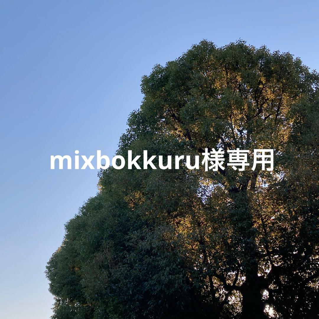 【mixbokkuru】　トイプードル / ワイヤーアート