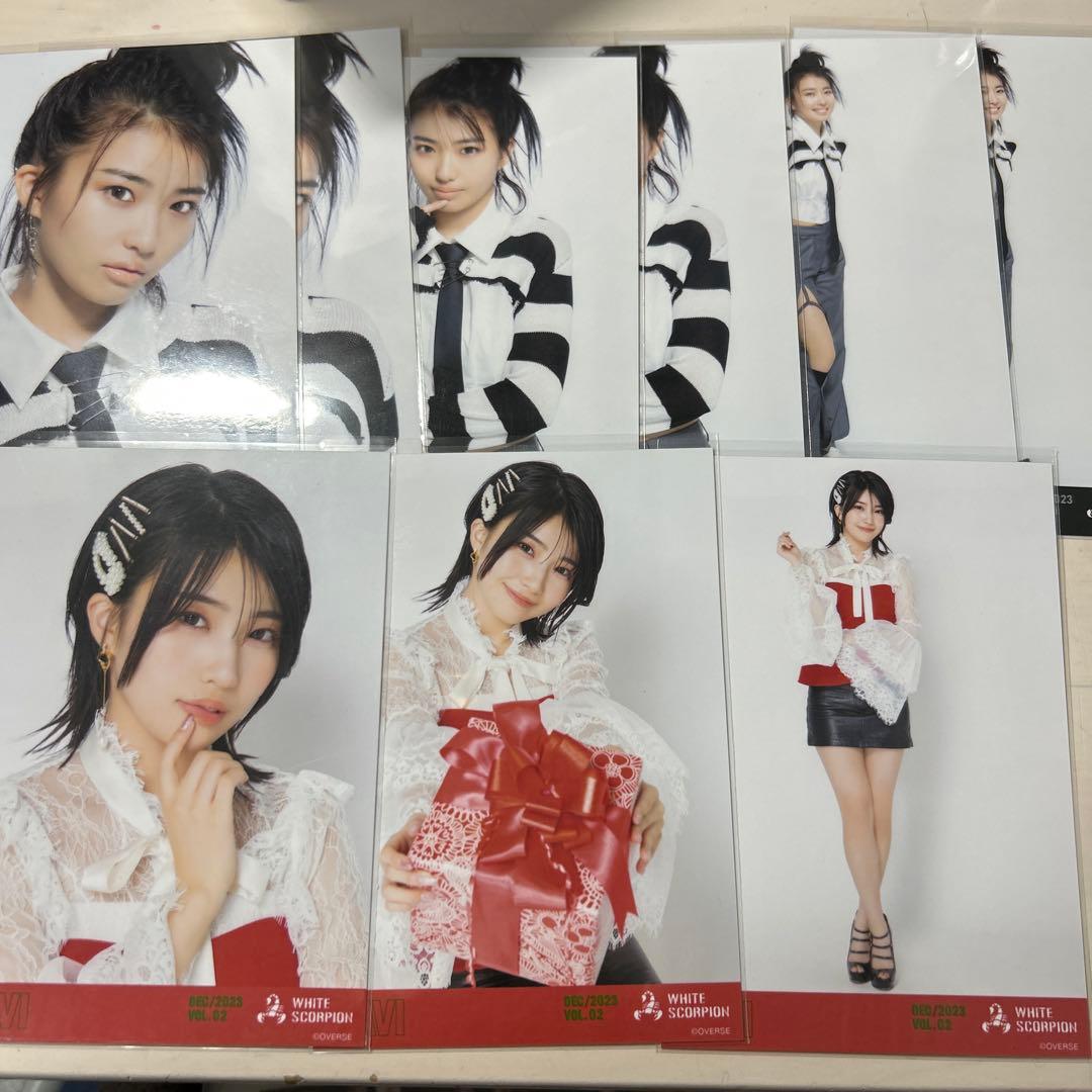 NAVI WHITESCORPION 生写真 7種セット