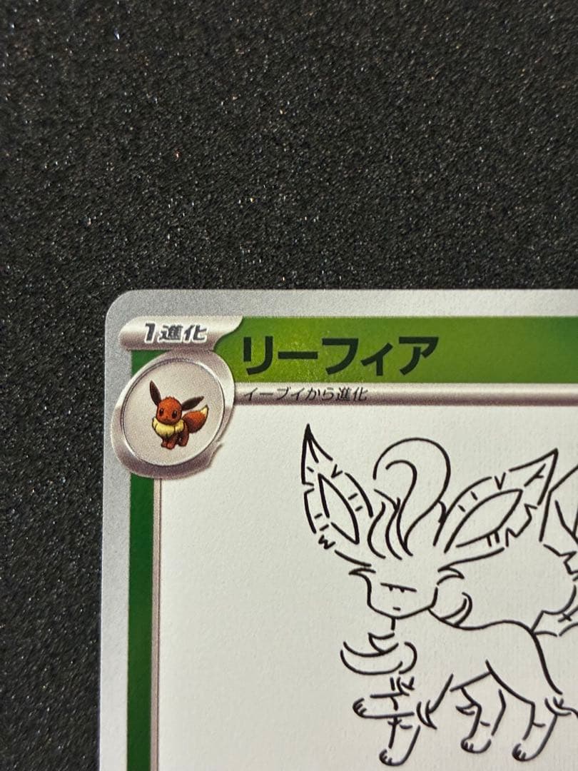 ポケモンカード 長場雄プロモカード ブースター、リーフィア